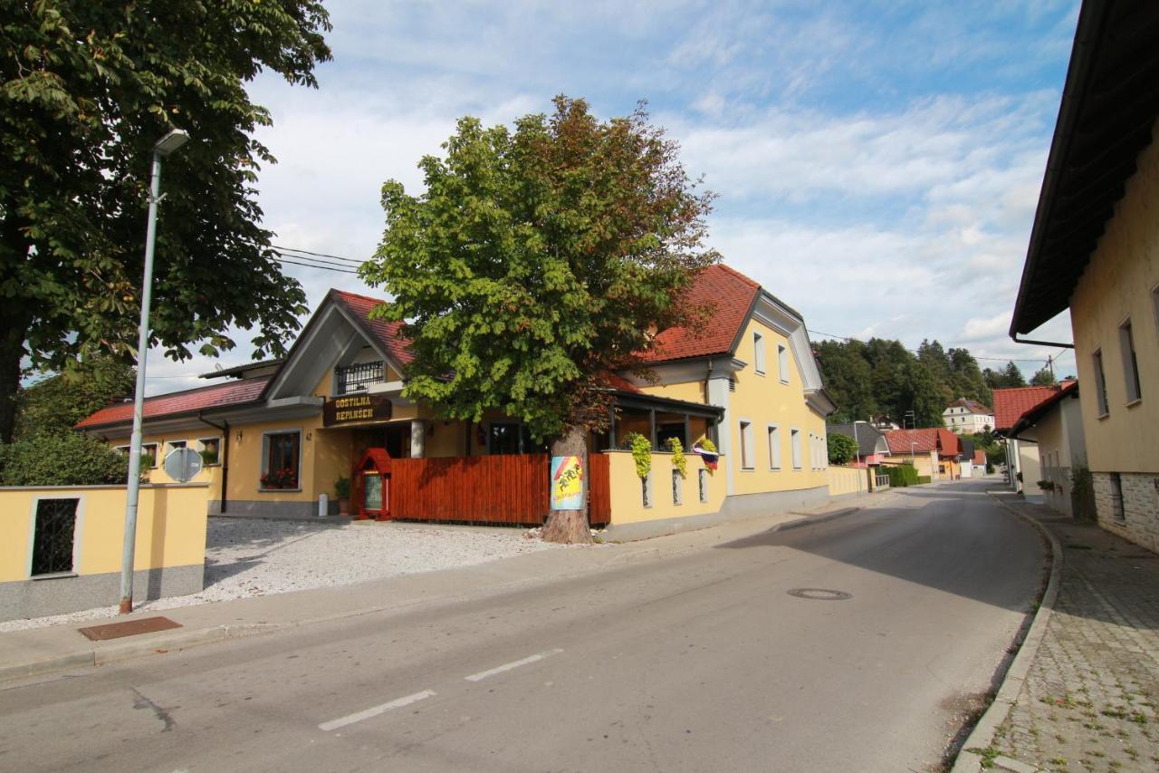 Bed & Breakfast Repansek Radomlje